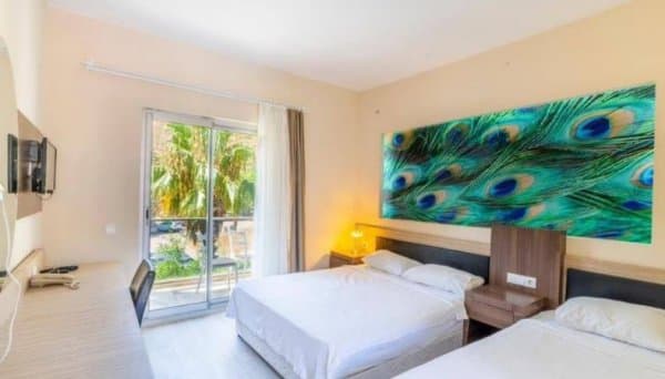 Standart Bahçe Manzaralı Oda  1