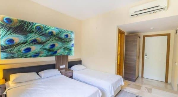 Standart Bahçe Manzaralı Oda  3