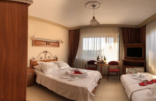 Kara Manzaralı Standart Oda 4