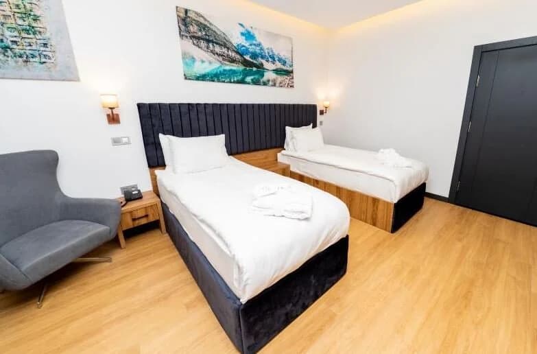 Superior Twin Oda, Şehir Manzaralı, Klimalı 3