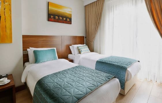 Ekonomik Twin Oda  No View 1