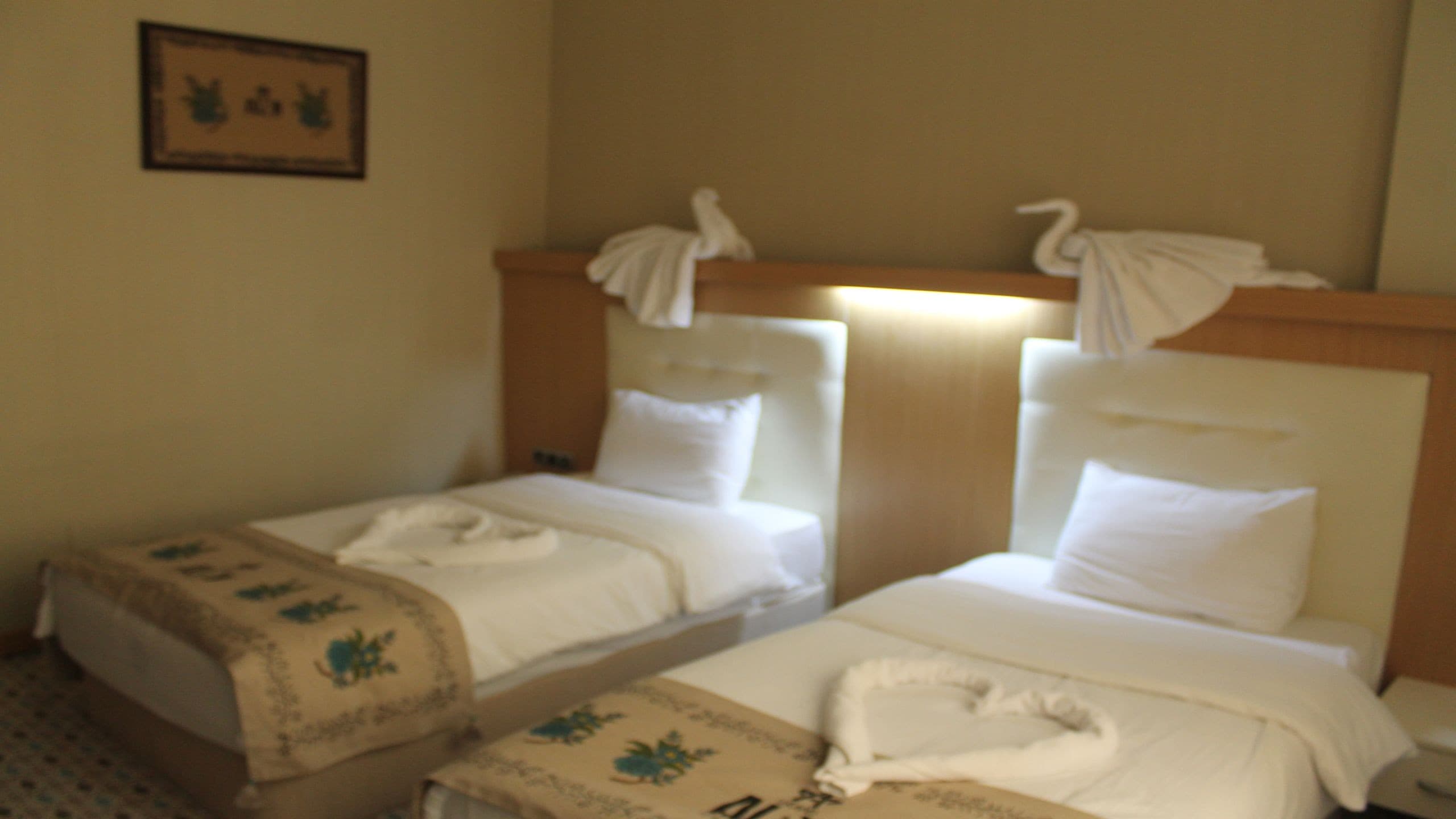 Grand Alin Turhal-resim-6