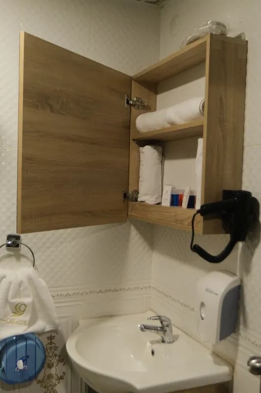 Çağ Otel Erzurum-resim-7