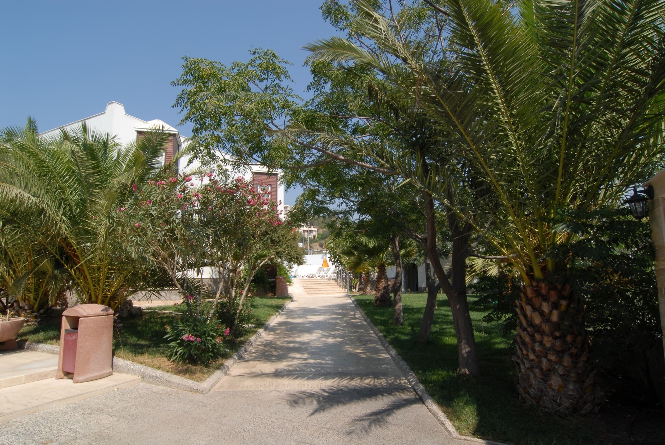 Bodrum Marma Hotel-resim-5