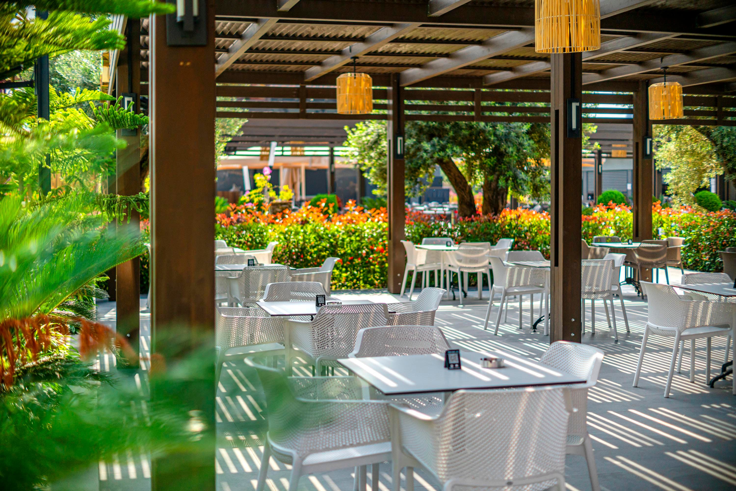 Calyptus Kirman Premium-resim-7