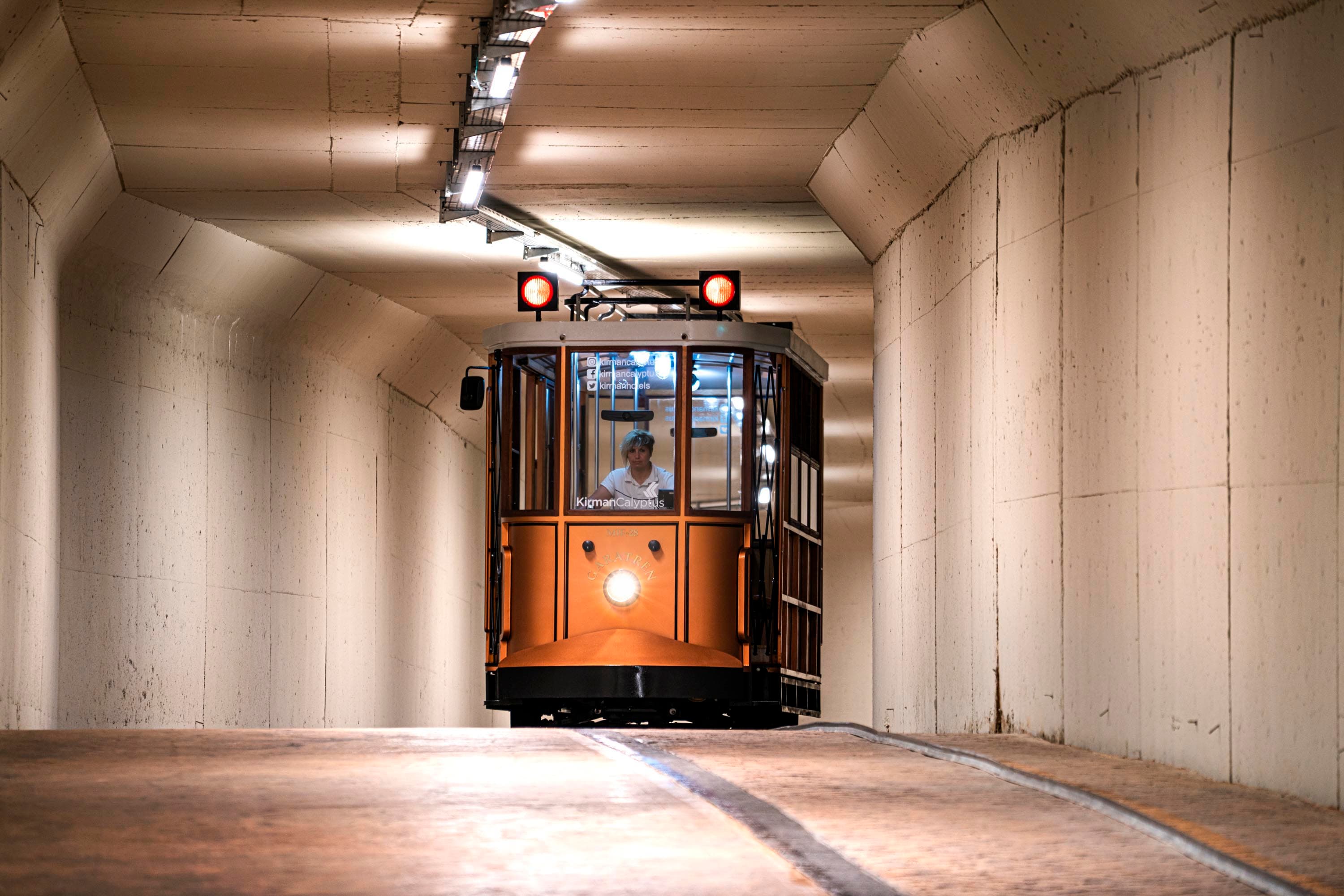 Calyptus Kirman Premium-resim-5