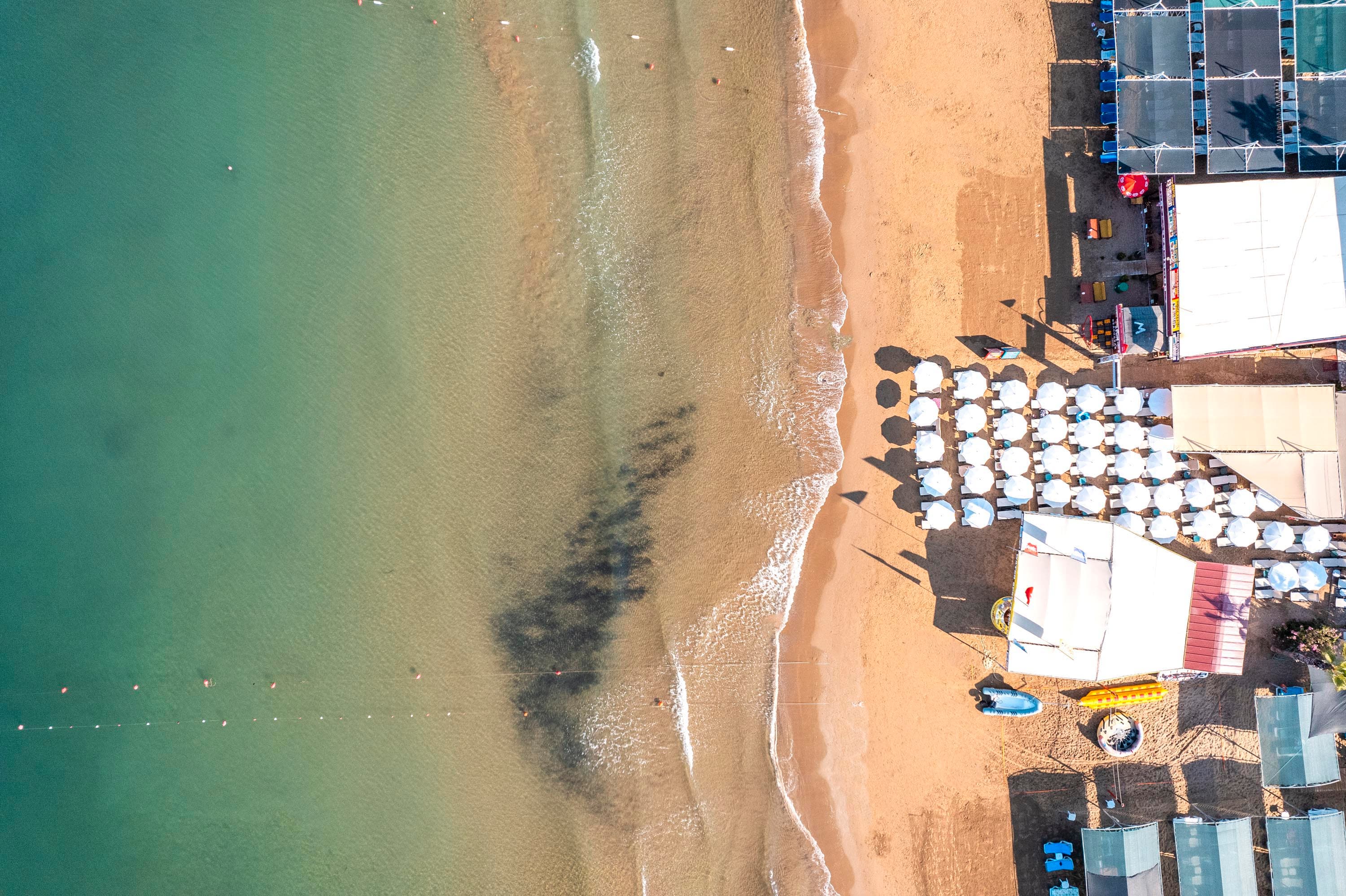 Calyptus Kirman Premium-resim-3