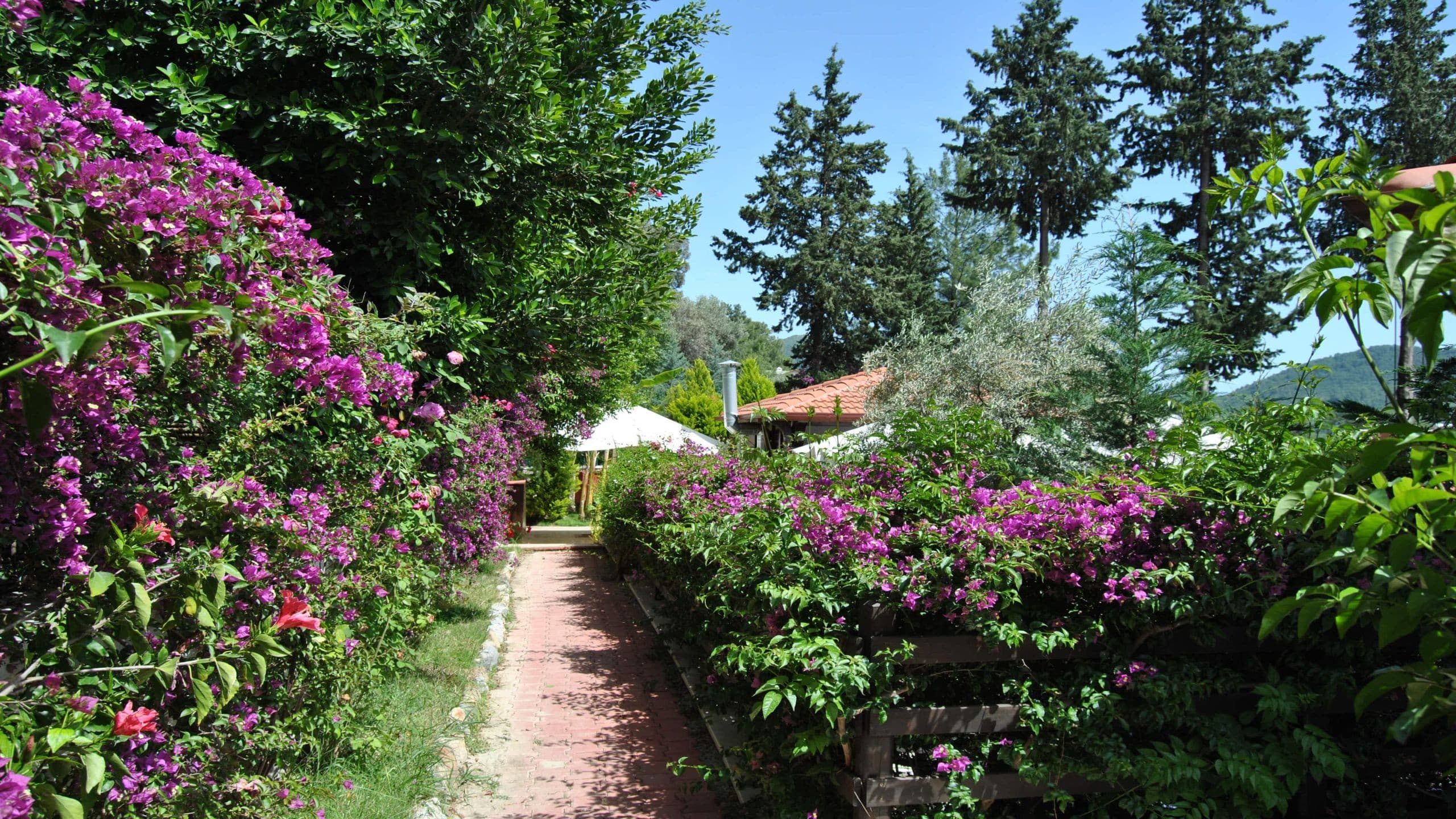 Alya Hotel Göcek-resim-7