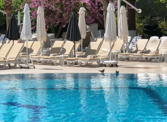 Opus Apart Hotel-resim-4