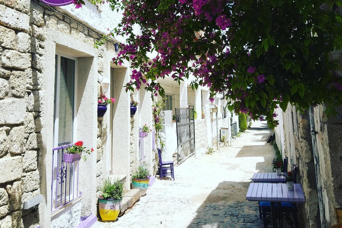 Lavender Otel-resim-1