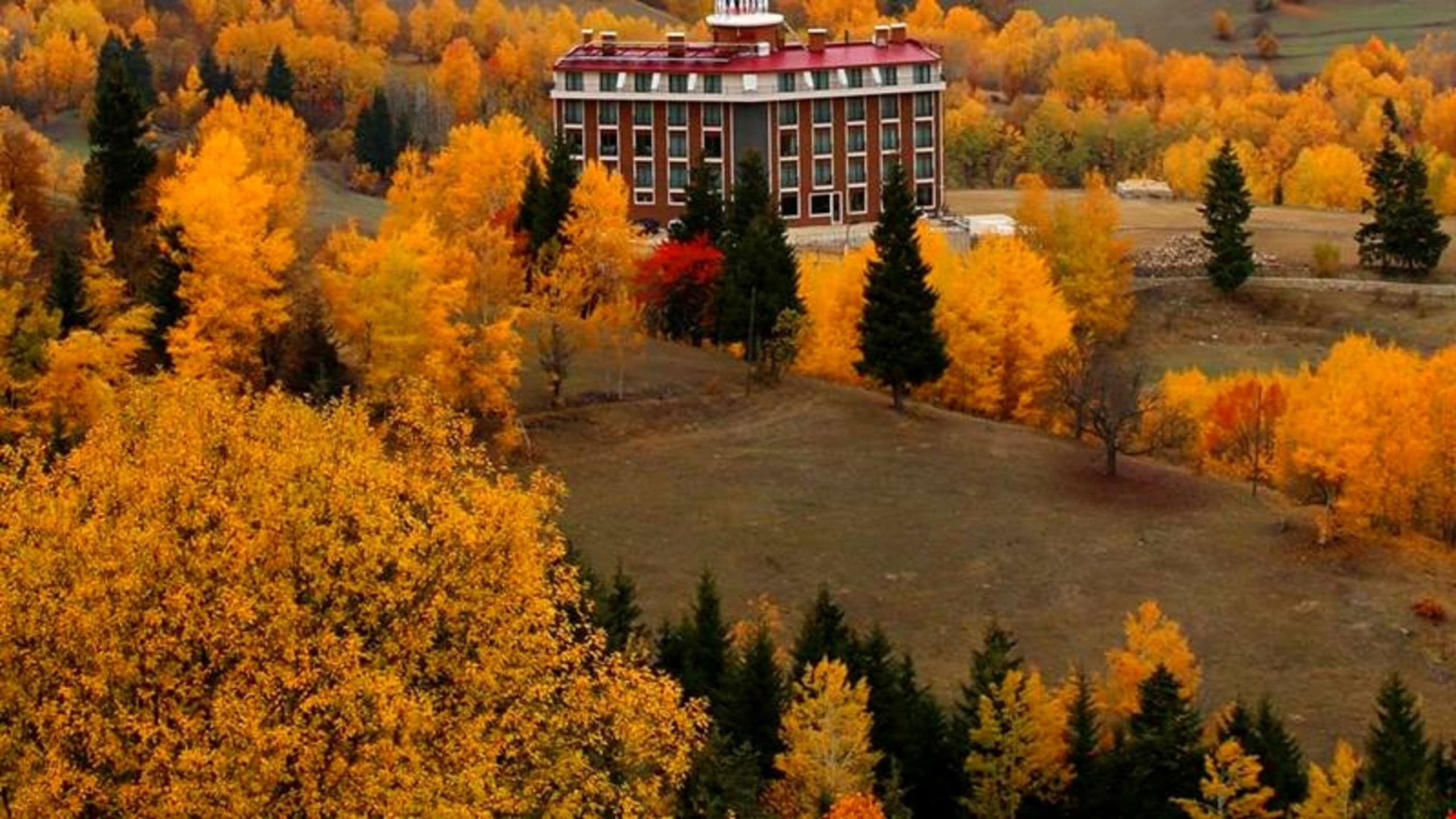 Black Forest Hotel -resim-6