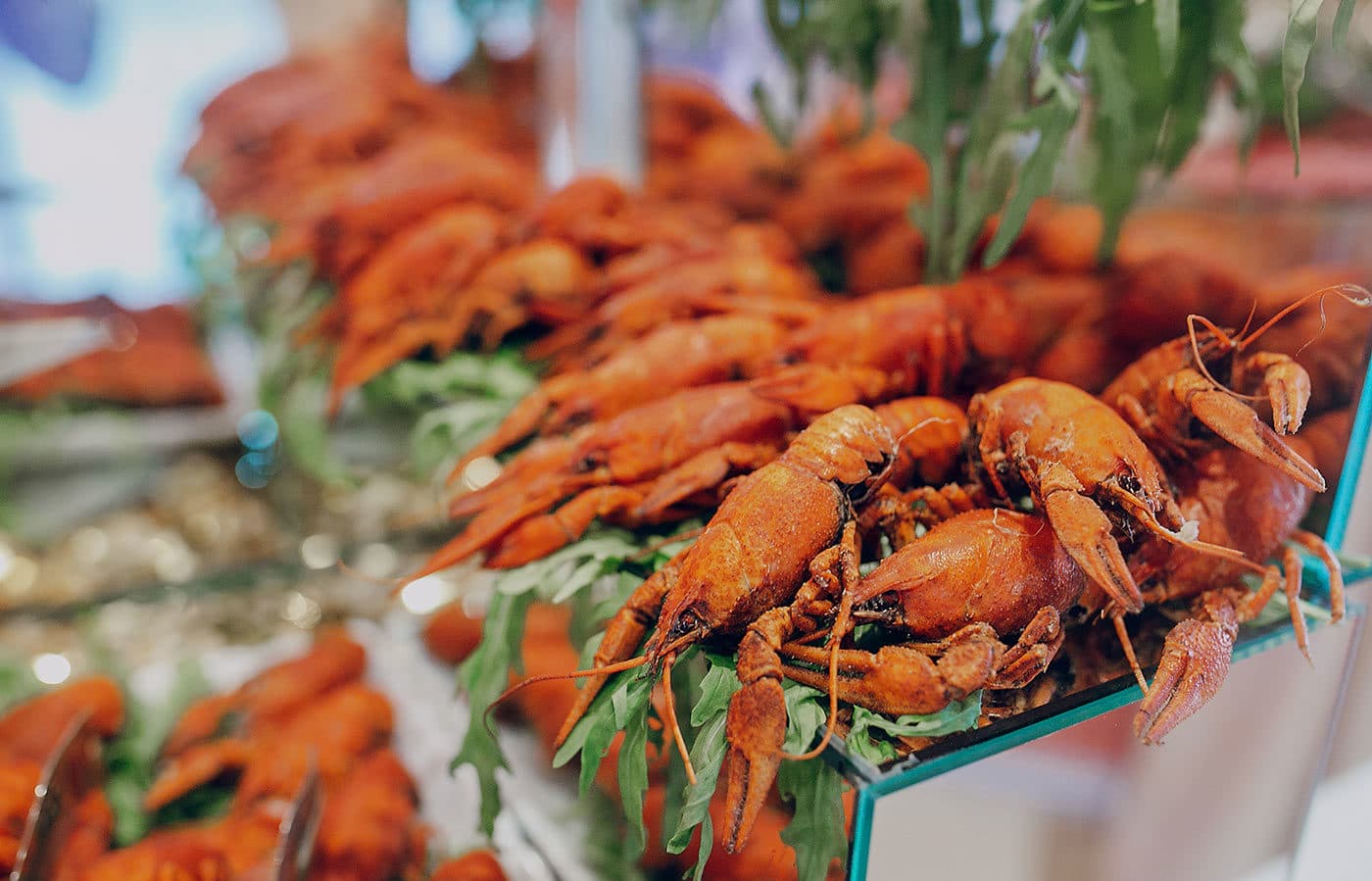 Ramada Encore by Wyndham İstanbul Avcılar-resim-7