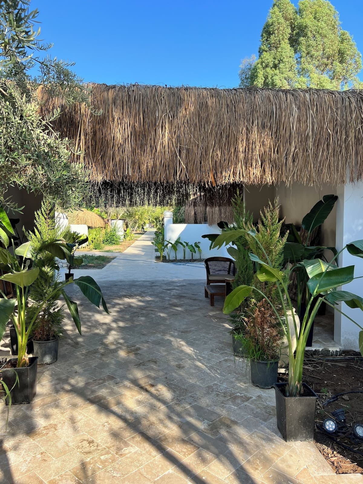 Alicra Hotel Çıralı-resim-6