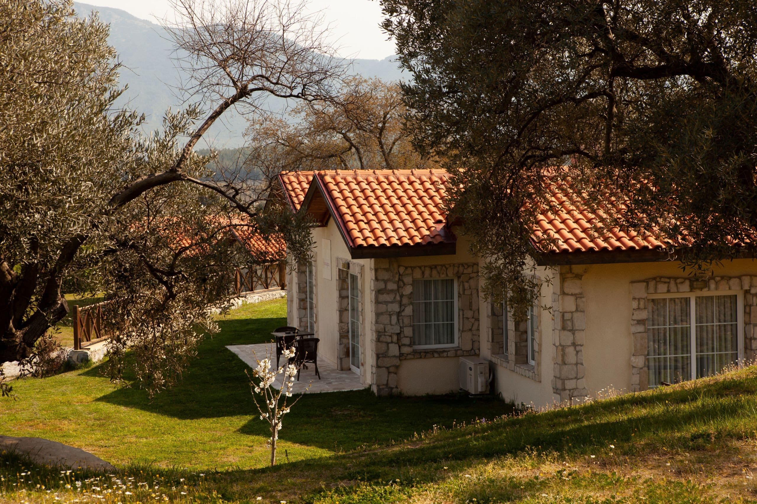 Vinifera Vineyards Yedibilgeler Hotel-resim-7