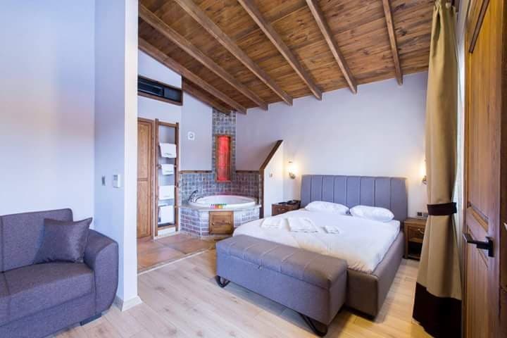 İznik Askania -resim-1