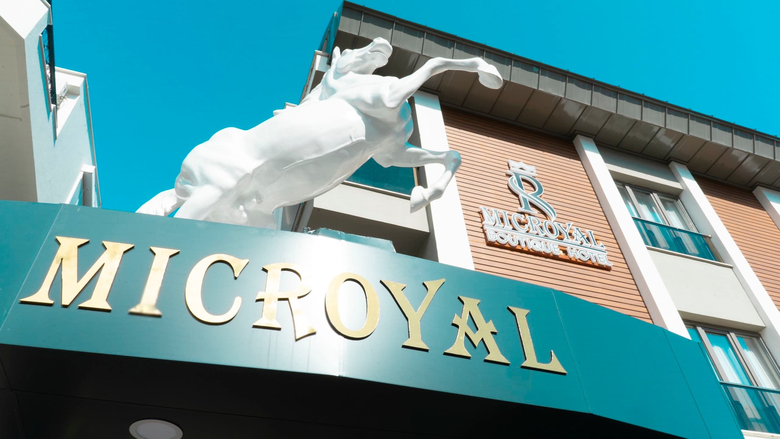 Mic Royal Hotel-resim-6