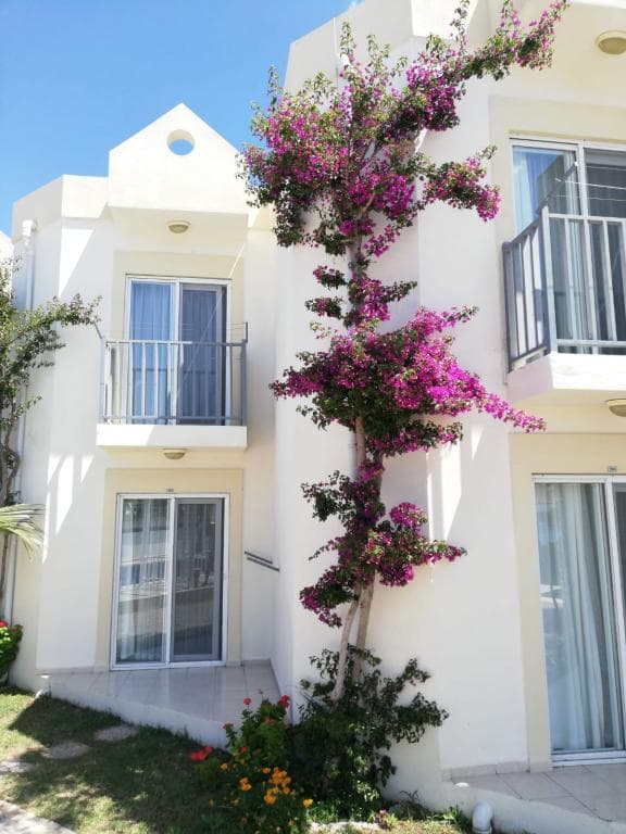 Viras Hotel Ortakent-resim-6