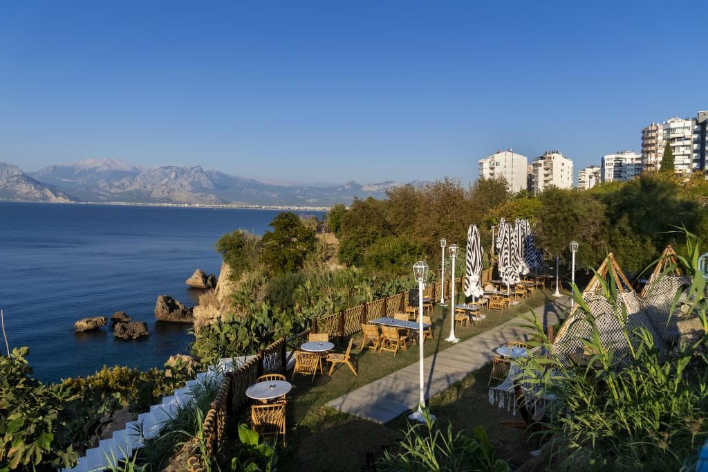 Lucky Monkey Hotel-resim-7