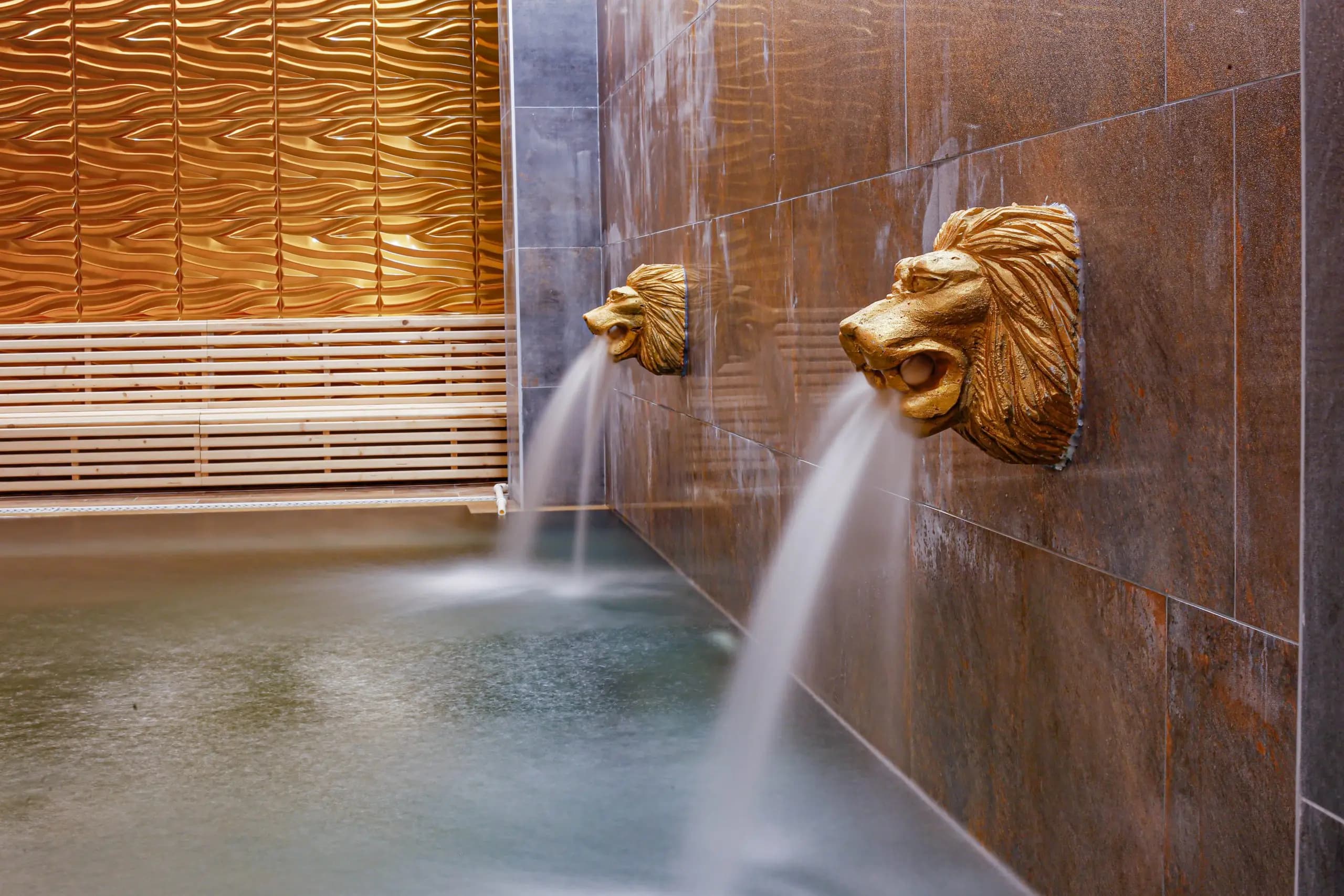 Vital Thermal Hotel-resim-7
