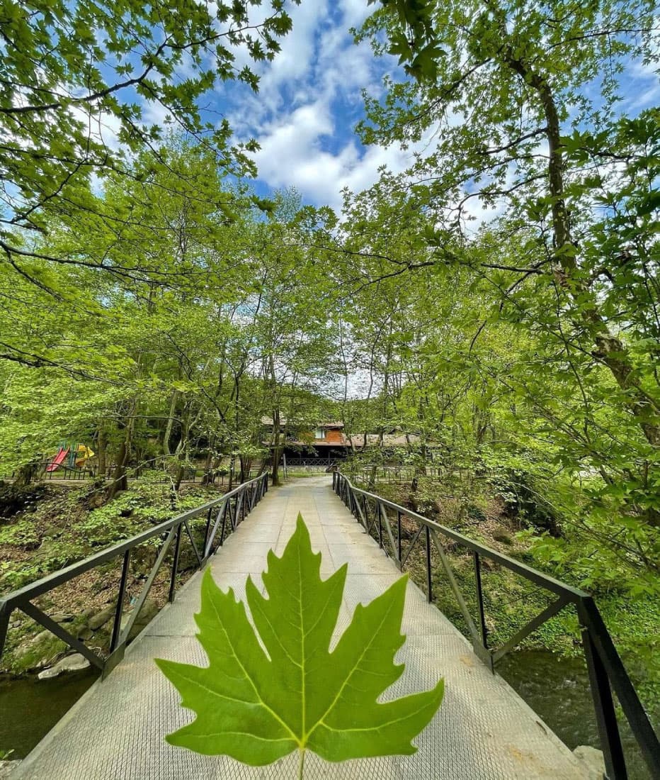 Bağdat Resort-resim-7