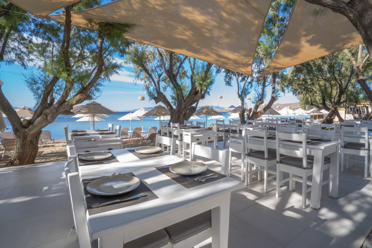 Regia Mare Beach Hotel Bodrum-resim-5