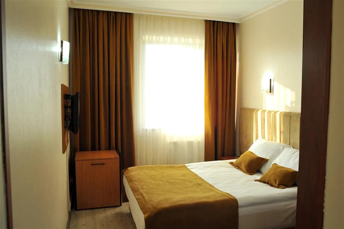 Lion City Hotel Ankara-resim-1