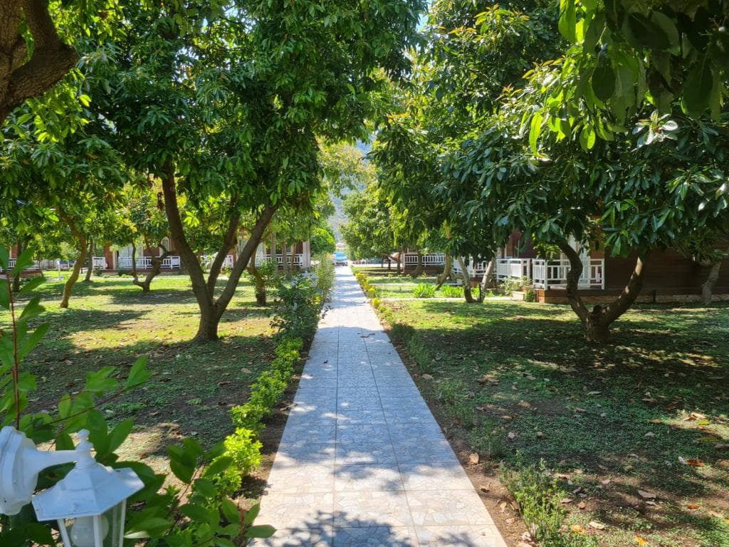 Apella Hotel-resim-4