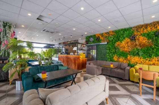 216 Star Suite-resim-4