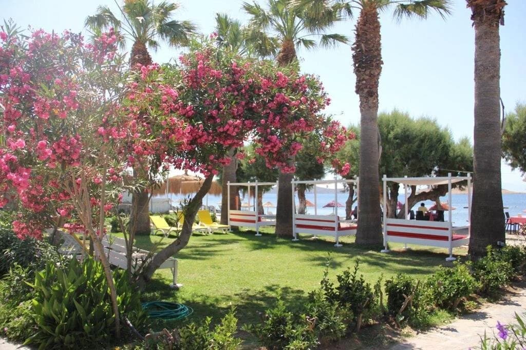 Yılmaz Beach Hotel-resim-4