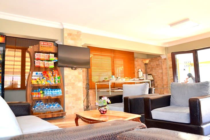 Elit Hotel Saray-resim-4