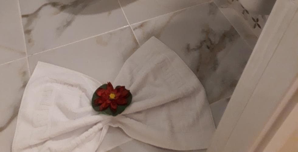 Kütahya Menderes Otel -resim-7