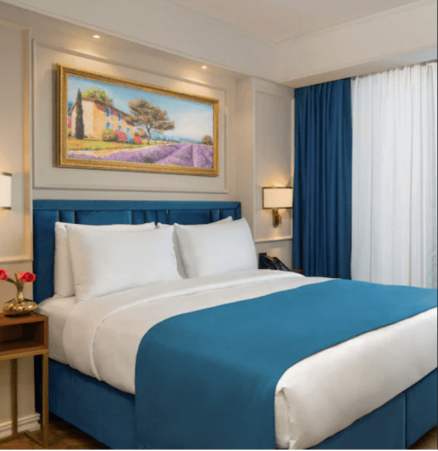 Royan Hagia Sophia Radisson Individuals-resim-6