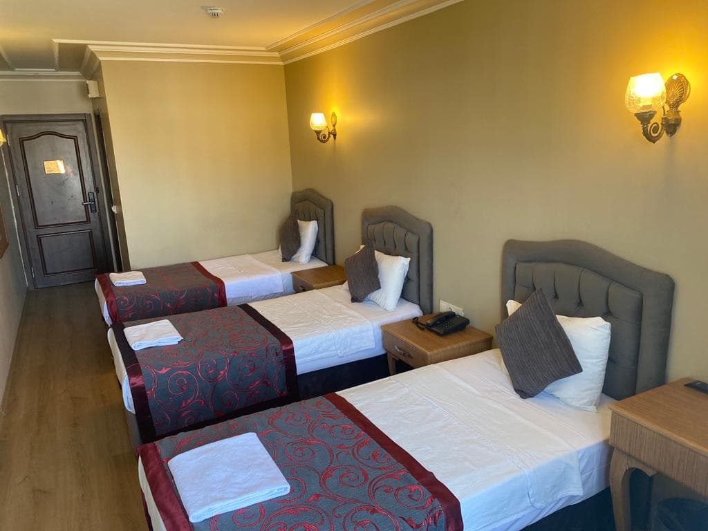 Grand Hamit Hotel -resim-6