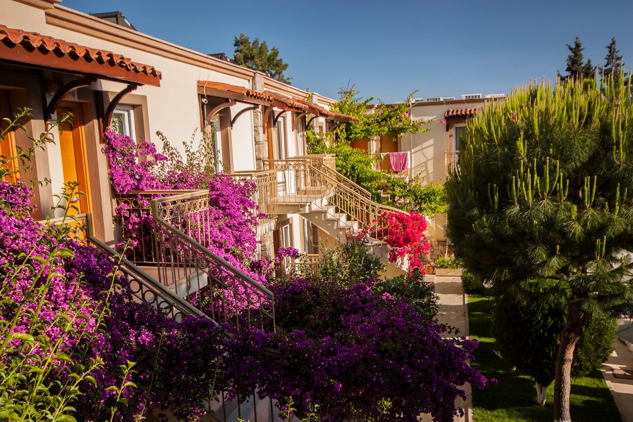 Moonshine Hotel Suites-resim-4