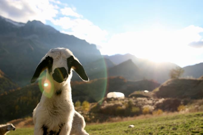 Askireg Otel-resim-5