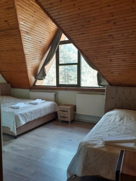 Double Room with Forest View	